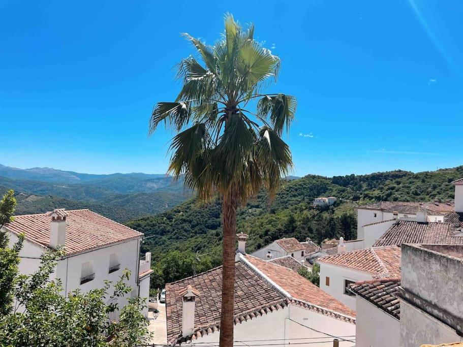 La Palmera. Casa Rural Con Piscina Privada. Benadalid Esterno foto